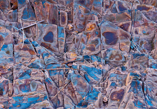 Colorful and textured rock surface with embedded branches