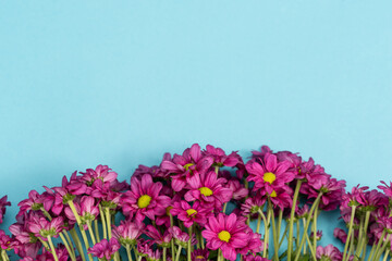 Blue background with purple flowers, space for text, background with flowers, flowers on the background