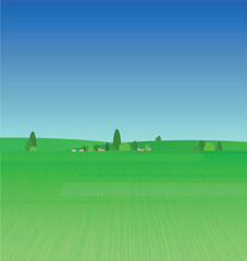 landscape with field and sky