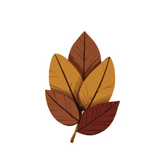 vector autumn leaves illustration