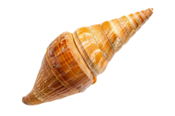 A beautiful spiral seashell with intricate patterns and polished surface, isolated on transparent background.
