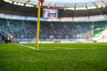 Fototapeta premium grass on the football pitch at the stadium