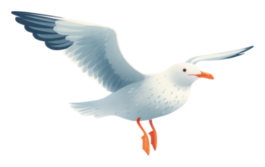 PNG Seagull flying animal white bird. AI generated Image by rawpixel.
