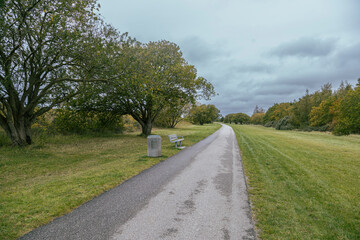 Fototapeta premium Bicycle path in Denmark Europe - Vallensbaek Strand
