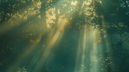 Obraz premium A delicate otherworldly radiance bathes the woodland in a dreamy surreal light