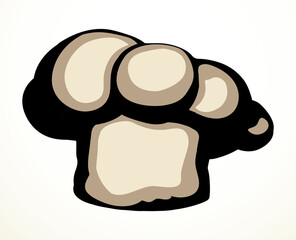 Vector drawing. Old chef hat