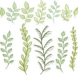 Set of vector twigs and leaves. Vector illustration. Natural plant.	
