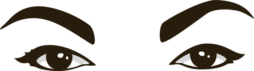 Eyebrows and eyelashes vector for beauty illustration