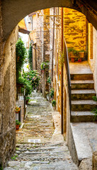 picturesque view of a charming village alley, adorned with rustic stone buildings, blooming flowers, and vintage lanterns, basking in the warm sunlight. The cobblestone path invites exploration and