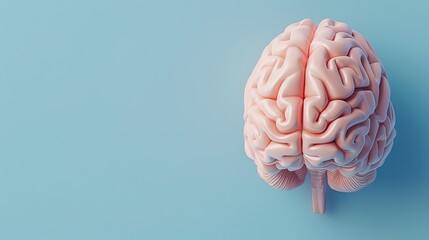 Human brain model on blue background, representing medical science, anatomy, and neurology. Ideal for education, healthcare, and research visuals.