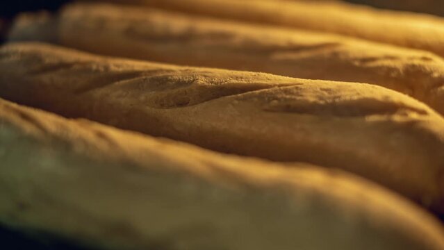 The process of raising the dough in the oven when baking a French baguette. Close-up timelapse inside the oven