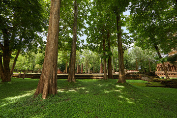 Wat Pa Sak is a Buddhist temple in thailand