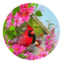 Spring Easter beautiful background, two red cardinal birds sitting on the branches of a blooming white sakura near a birdhouse, first greens, primroses, round shape, circle, no AI