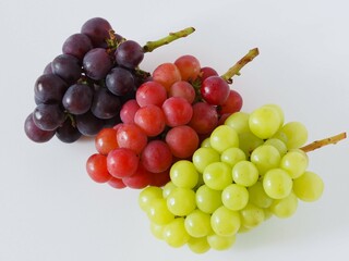 ピオーネ、ゴルビー、シャインマスカット