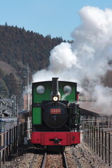 Obraz premium 群馬県碓氷峠鉄道文化むらを走る園内鉄道「アプトくん」_2023/2/25撮影