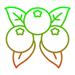 Berries Icon