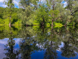 the green grassy bank of the Berezina River