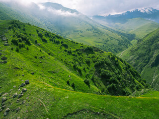 Obraz premium green grassy mountains plateau - aerial drone photo, wallpaper
