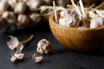 Ripe organic garlic clove and bulb on black stone background.  Close-up. Selective focus.