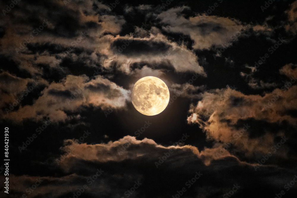 Wall mural full moon in the night sky