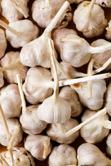Ripe organic garlic clove and bulb on wooden background.  Close-up. Selective focus.