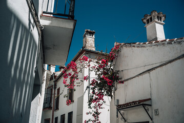 spanish houses with red flowers