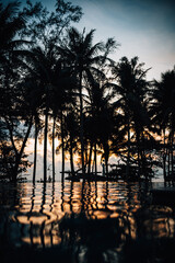 sunset over the sea
