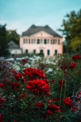 house in the city