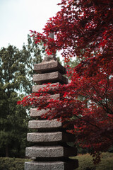 japanese pagoda in autumn