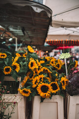 flowers in the street