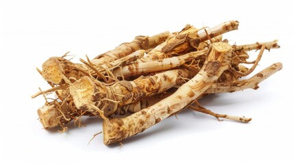 astragalus roots Isolated on white background. cooking ingredients for healthful food concept for designer