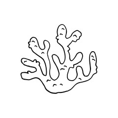 Obraz premium Corals, organic material. Skeleton of tiny sea animals. Doodle. Vector illustration. Hand drawn. Outline.