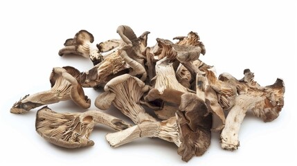 dried poria mushrooms Isolated on white background. cooking ingredients for healthful food concept for designer