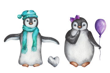 Watercolor illustration. Hand painted cartoon penguin girl and boy with stone, hat, balloon, scarf, bow. Penguin characters in love, dating. Marine birds. Isolated clip art for Valentine, Christmas
