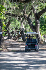 golf cart © mark
