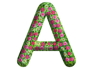 3d of alphabet A, design made from flowers, leaves and green grass on transparent background