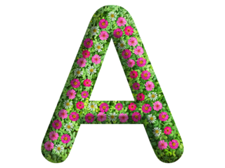 3d of alphabet A, design made from flowers, leaves and green grass on transparent background