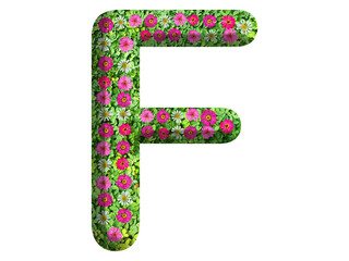 3d of alphabet F, design made from flowers, leaves and green grass on transparent background