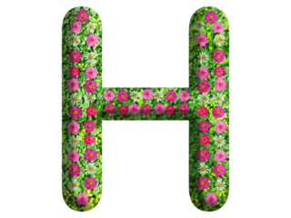 3d of alphabet H, design made from flowers, leaves and green grass on transparent background