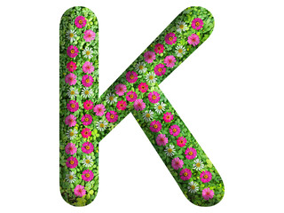 3d of alphabet K, design made from flowers, leaves and green grass on transparent background
