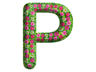 3d of alphabet P, design made from flowers, leaves and green grass on transparent background