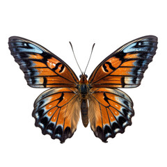 A beautiful orange and black butterfly with a blue spot on its wings.on cut-out white background, transparent PNG cutout cliparts