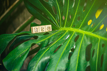 ESG on a wood block. Future environmental conservation and sustainable ESG modernization...