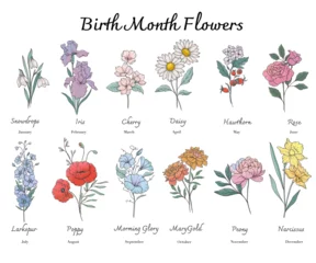 Schilderijen op glas Geschilderde Bloemen Birth Month Flowers set line art. Outline birth month flowers isolated on white. Hand painted line art botanical illustration. Snowdrops, Iris, Cherry Blossom, Daisy, Hawthorn, Rose, Larkspur  © Xenia