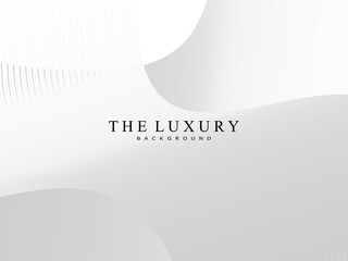 Premium background design with gray gradient white diagonal stripe pattern. Vector white horizontal template for business banner, invitation background, luxury voucher, gift certificate, etc.
