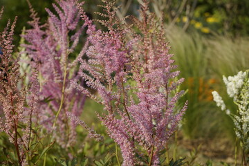 봄날의 꽃들이 피어 아릅답습니다