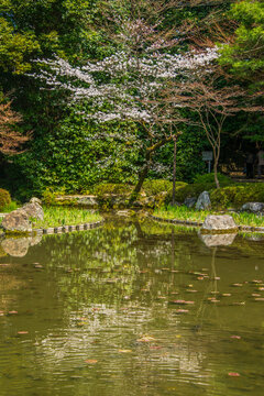 Okazaki Park in the Heian Jingu Shrine, Kyoto, Honshu
