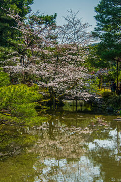 Okazaki Park in the Heian Jingu Shrine, Kyoto, Honshu