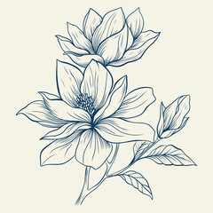 Magnolia flowers drawing with line-art