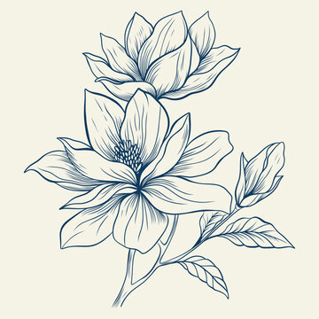 blue line art magnolia flowers clip art preview